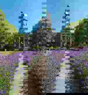 c-iwm-site_lam_004123-copy (1).jpg