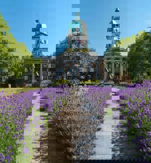 c-iwm-site_lam_004123-copy (1).jpg