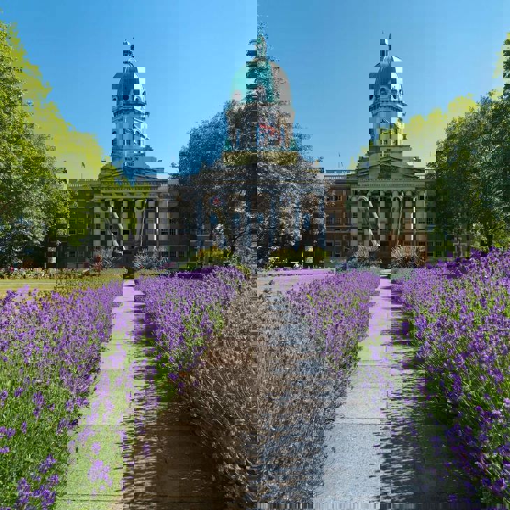 c-iwm-site_lam_004123-copy (1).jpg