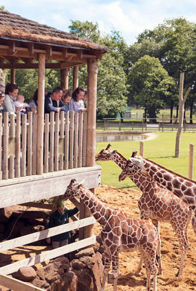 zoolife-3.jpg