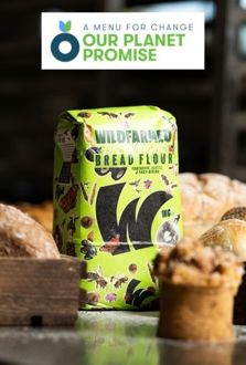 Climate Promise_2.JPG