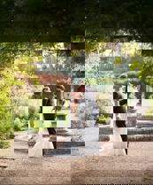 victorian-gardens-with-wedding-couple-2 (1).jpg