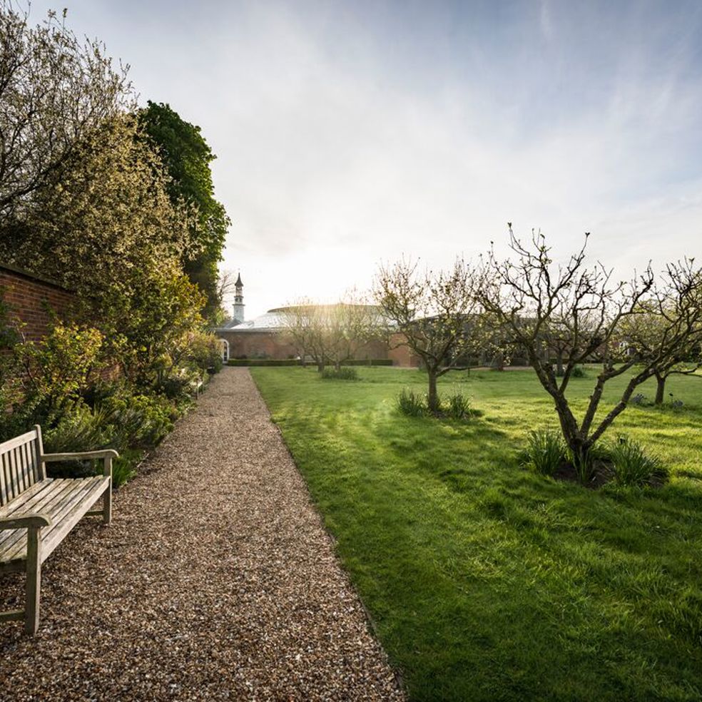 medium-2016-05_orchard_cs_hh-3.jpg (1)