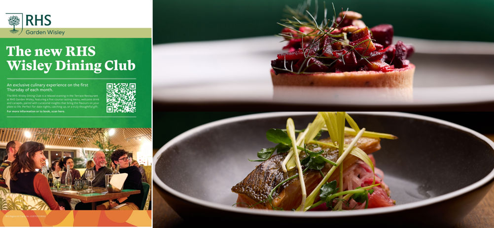 Article Header (2).jpg