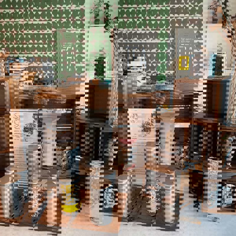 tea-peak-l7-s2 (1).jpeg