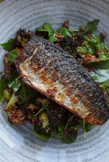 dsc_0049_edit-mackerel-740.jpg