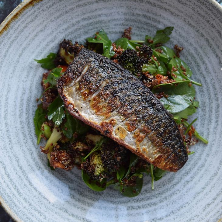 dsc_0049_edit-mackerel-740.jpg