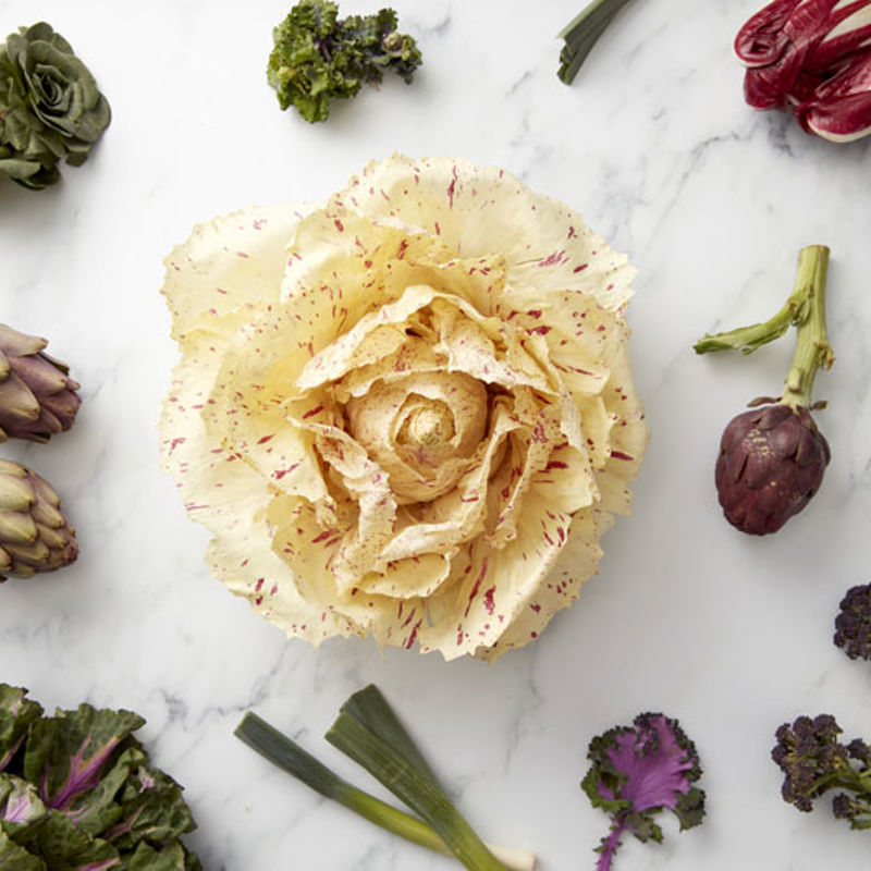 220307_ra_ingredients_084.jpg
